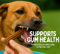 Pack dog chew toy